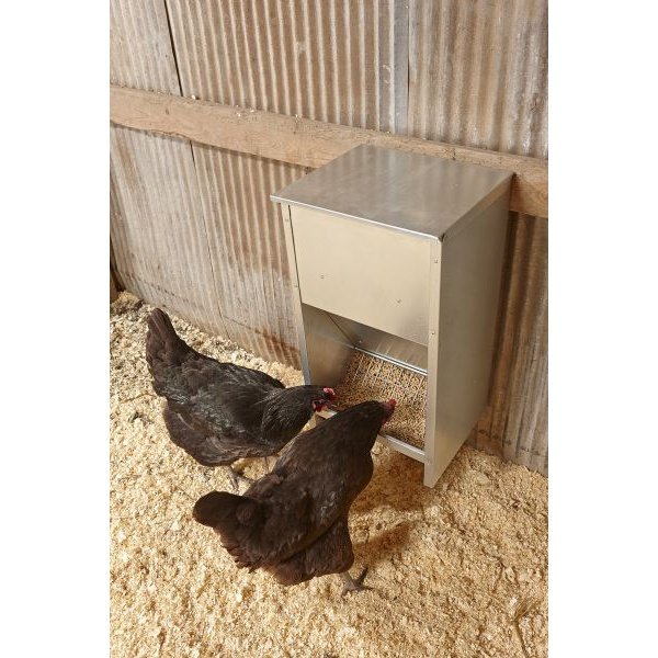 Little Giant - Large Capacity Wall Mounted Galvanized Poultry Feeder