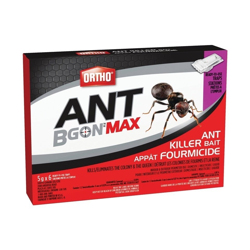 Tueur d'Insectes - Ant Bgon Max Appât 60G