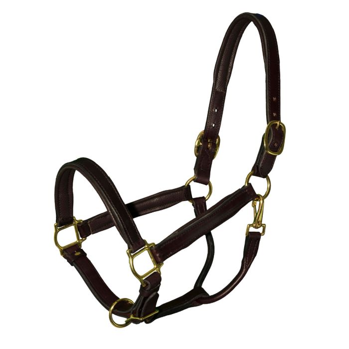 Licol en cuir avec boucles en laiton