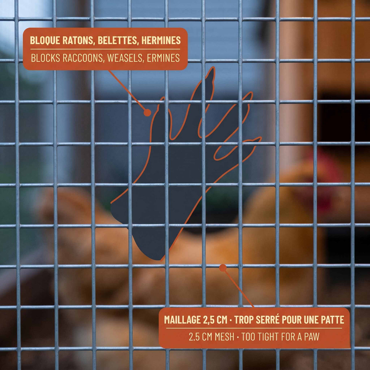 1"x1" 14ga hot-dipped galvanized welded wire mesh - Sentinel