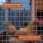 1"x1" 14ga hot-dipped galvanized welded wire mesh - Sentinel
