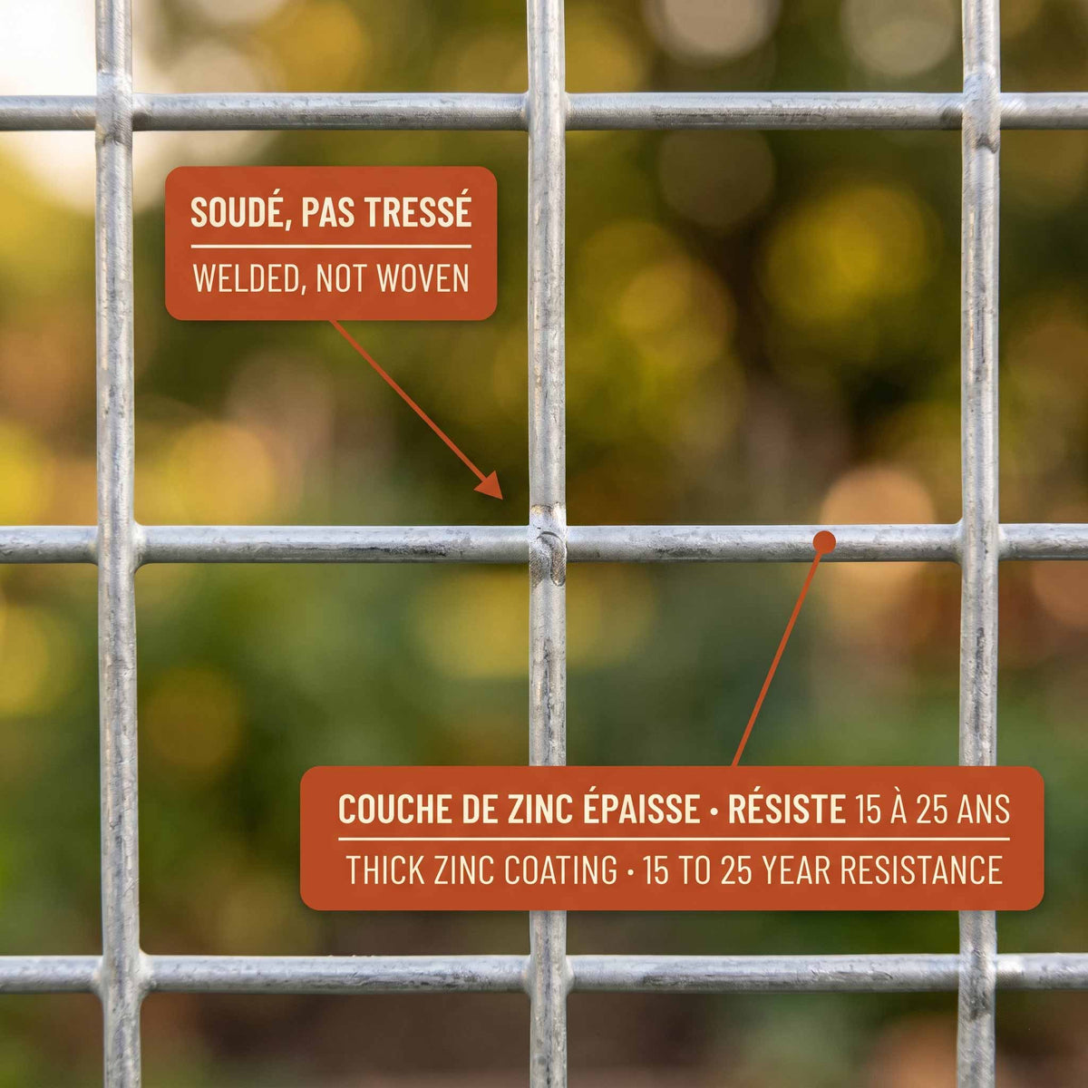 1"x1" 14ga hot-dipped galvanized welded wire mesh - Sentinel