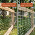 1"x1" 14ga hot-dipped galvanized welded wire mesh - Sentinel