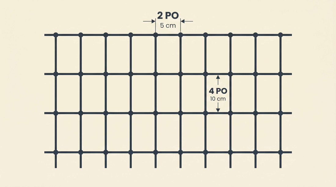 2 po x 4 po