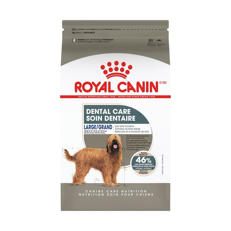 Croquettes grande race soin dentaire chien adulte - Royal Canin
