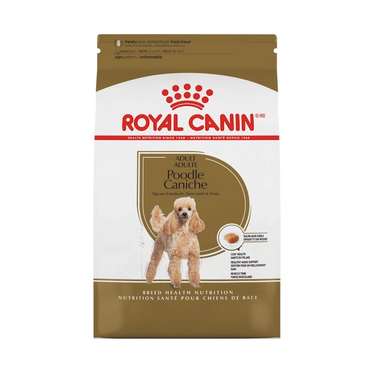 Croquettes caniche adulte toy et nain 10 mois et plus - Royal Canin