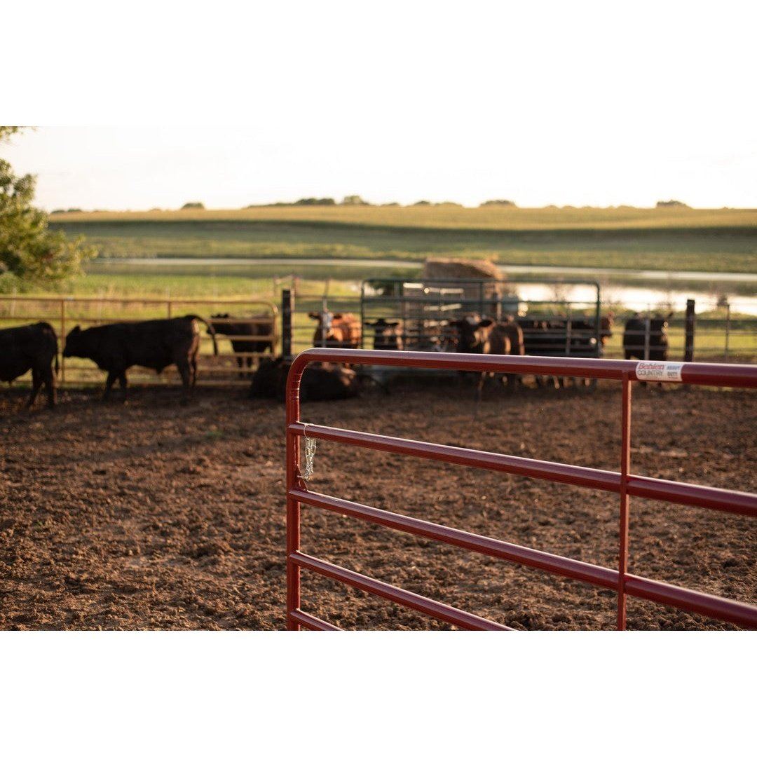 Behlen Country - High Resistance Tubular "Bull" Farm Gate in Painted Steel 