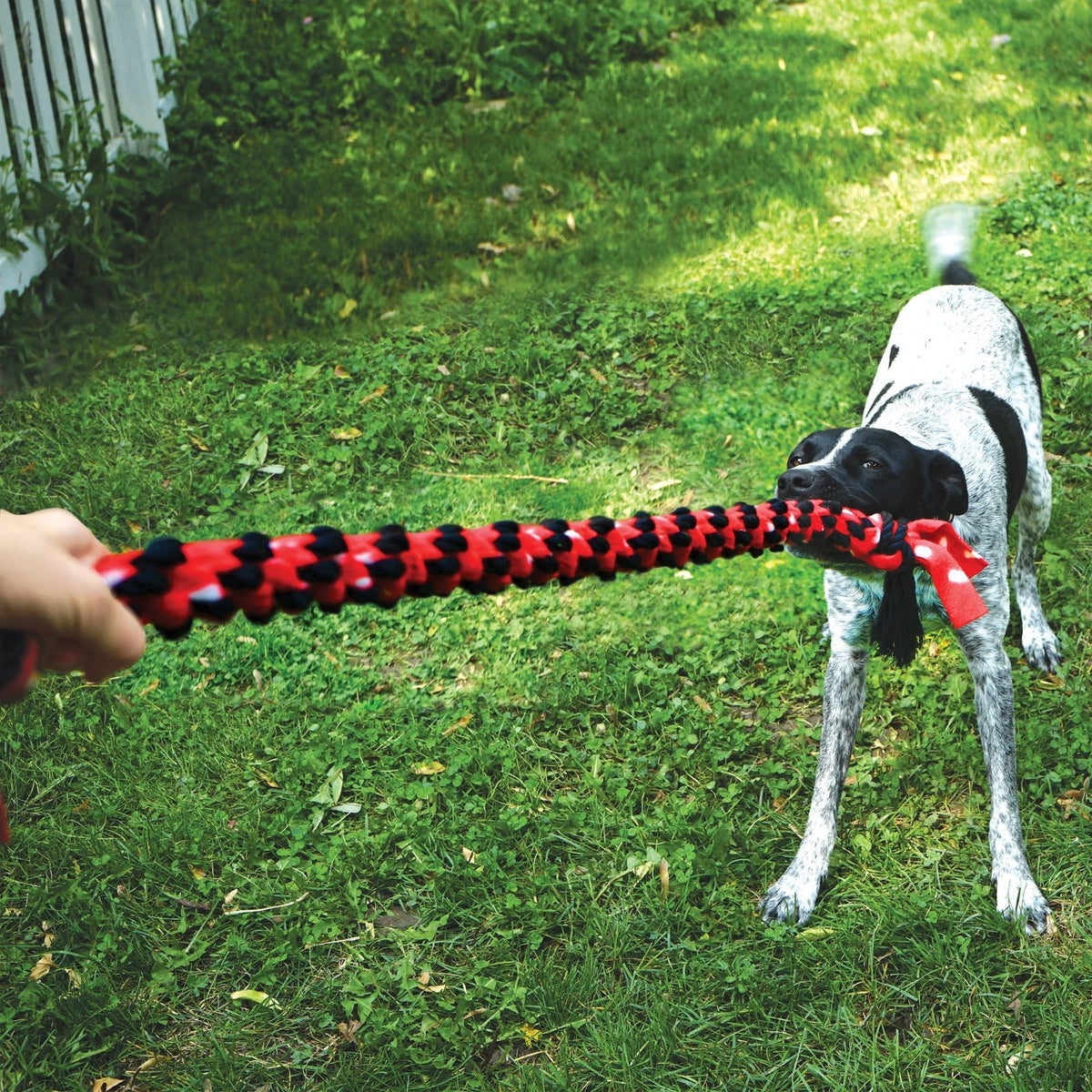 KONG - Signature Double Knot Rope