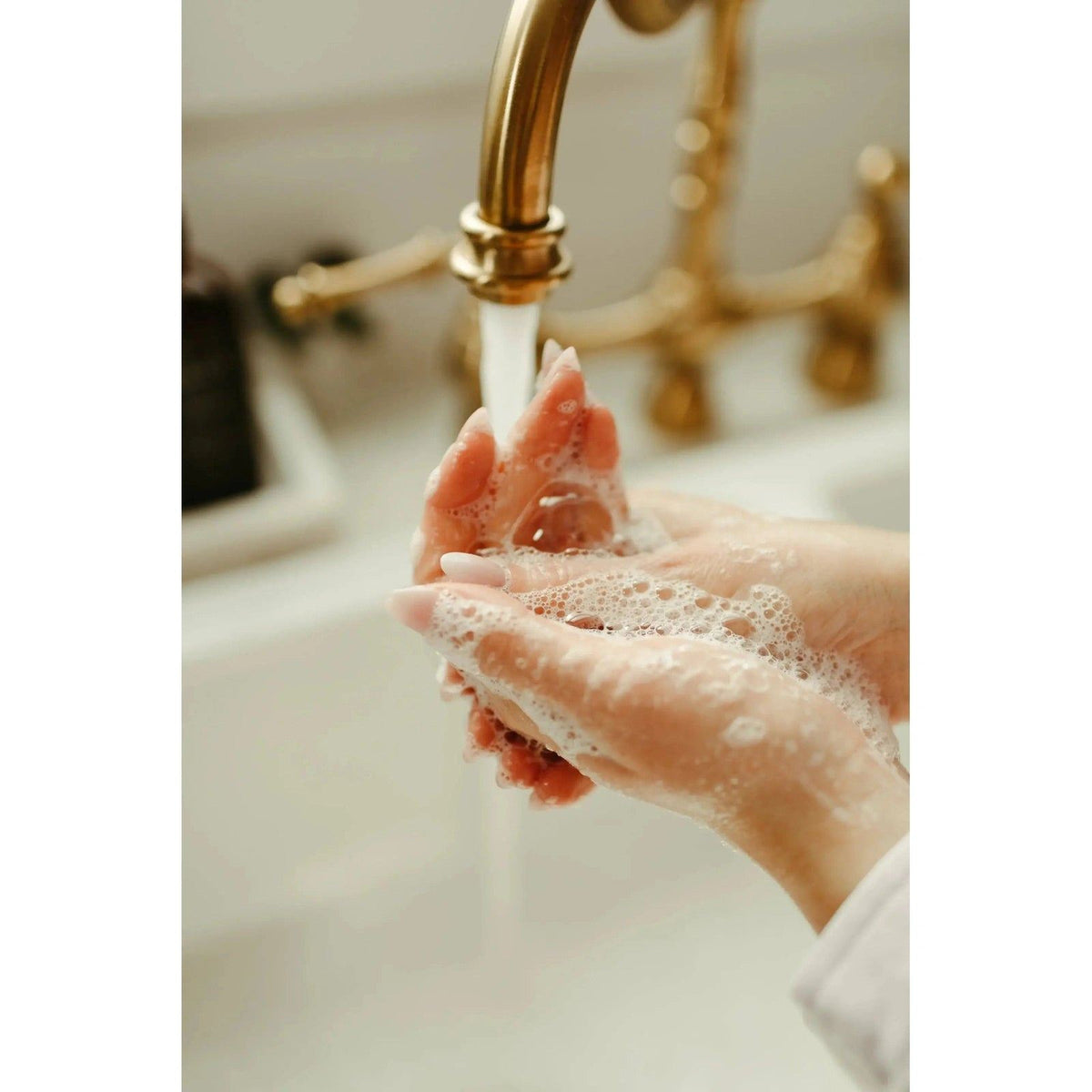 SOJA&CO. - Liquid Hand soap | Pine and Cedar Bark 