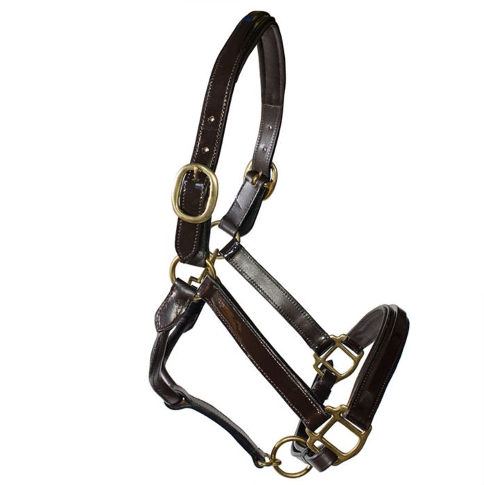 Raised Bromont Brown Leather Halter