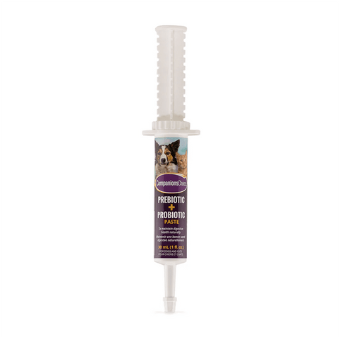Pâte prébiotique et probiotique 30 ml - Companions Choice