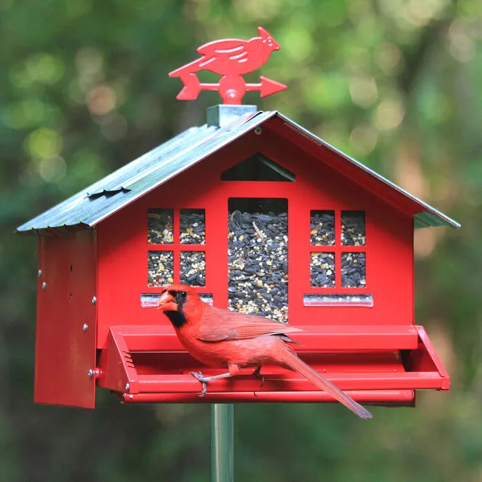 Perky-Pet® - Squirrel-Be-Gone® House-Style Bird Feeder