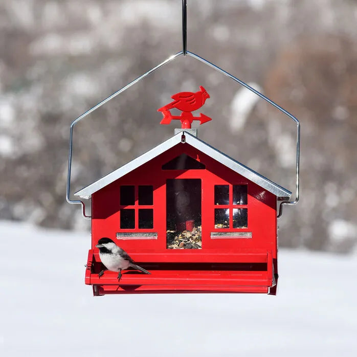 Perky-Pet® - Squirrel-Be-Gone® House-Style Bird Feeder