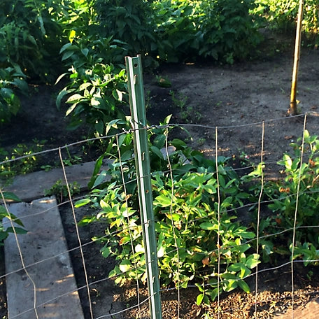 Poteau en U en acier peint pour clôture de jardin - Jackson Wire