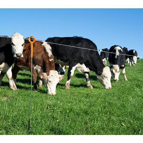 Poteau à anneau pour clôture électrique - Gallagher