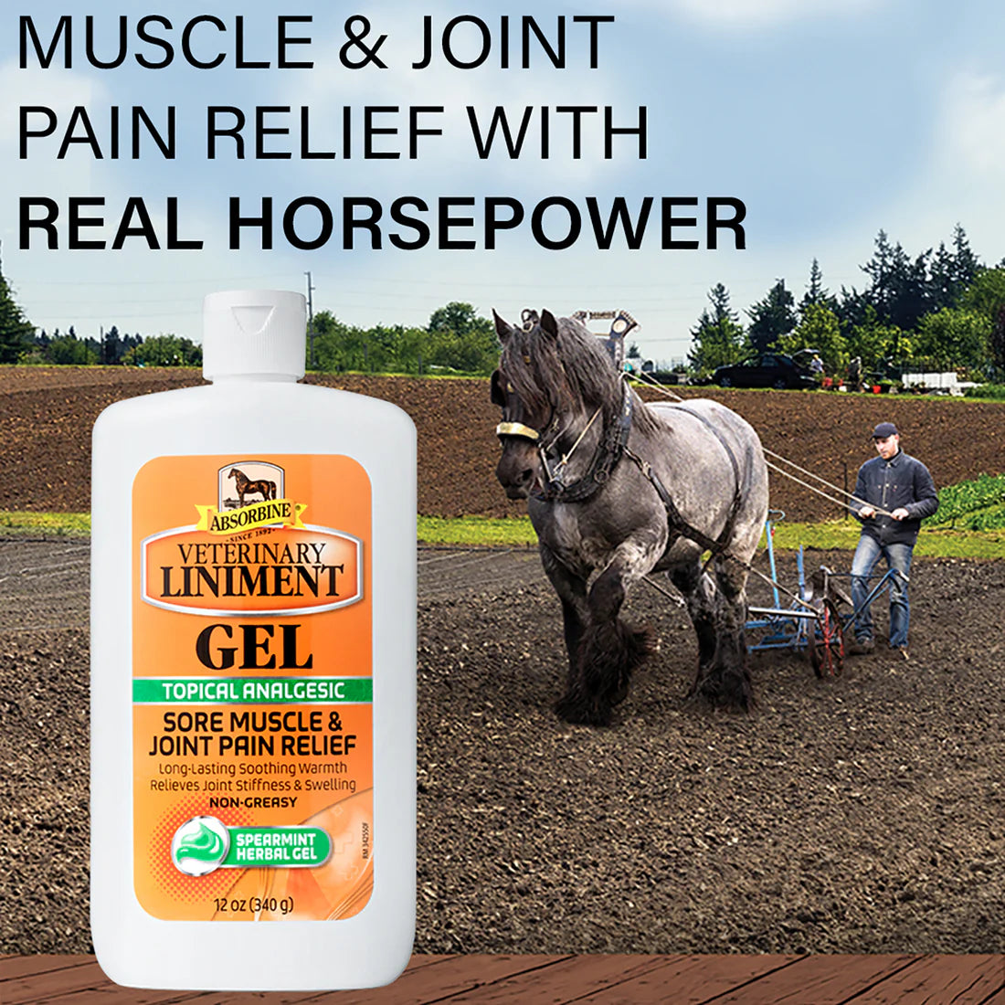 Gel Liniment, 340g - Absorbine®