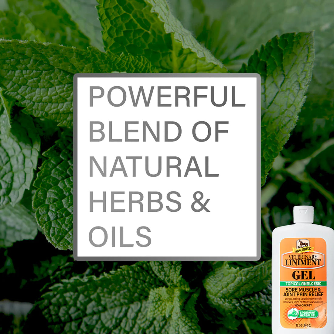 Gel Liniment, 340g - Absorbine®