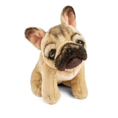 Bouledogue Français Living Nature