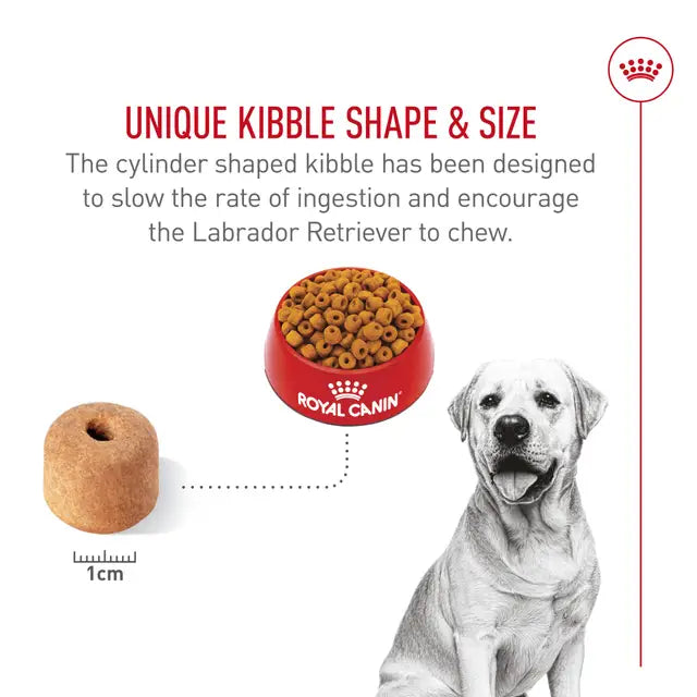 Croquettes chien Labrador adulte 5 lb - Royal Canin