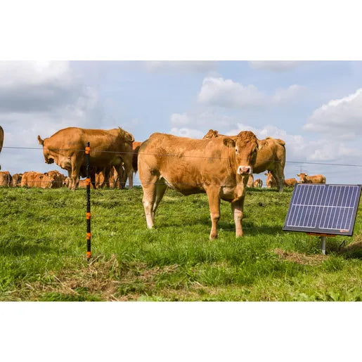 S400 Lithium Solar Energizer - Gallagher