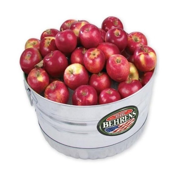 Behrens - All-purpose bucket in Galvanized Steel