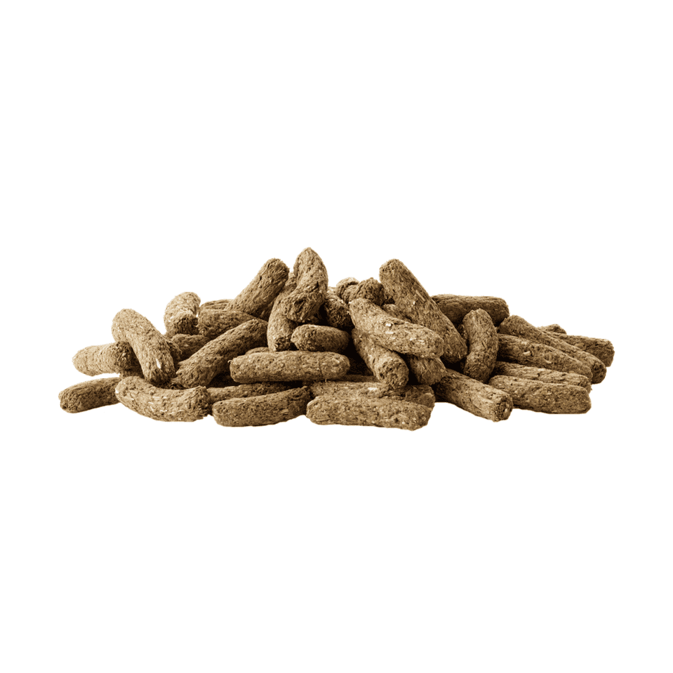 Cuni Complete Adulte - Versele-Laga