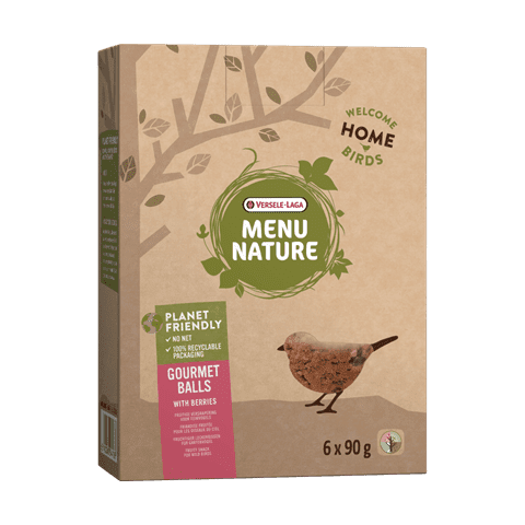Versele-Laga - Menu Nature, Fruity Suet Treat for Birds 