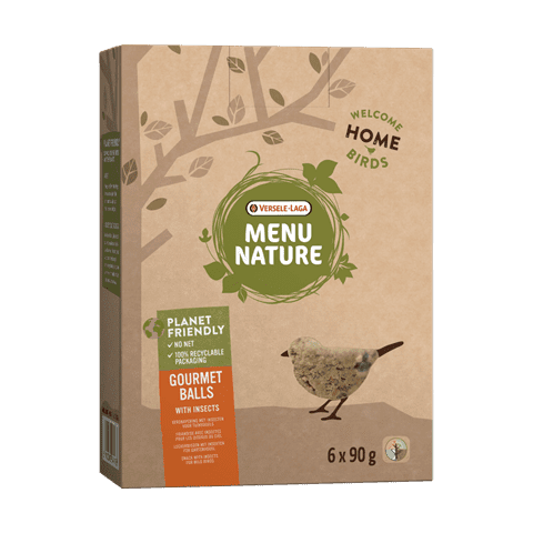 Versele-Laga - Menu Nature, Suet Treat with Insects for Birds 