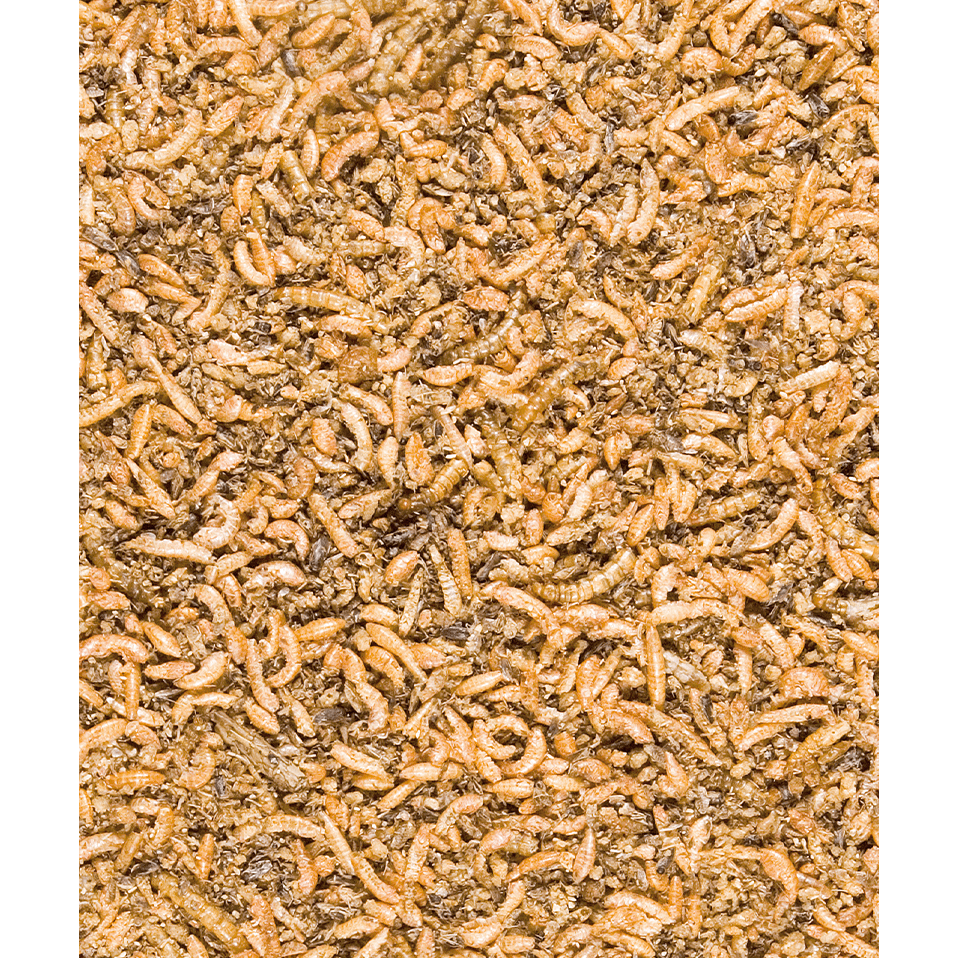 Menu Nature, Insect Mix - Versele-Laga