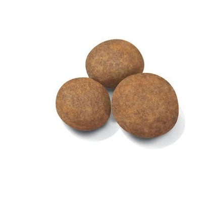 Croquettes chiot de grande race jusqu'à 15 mois - Royal Canin