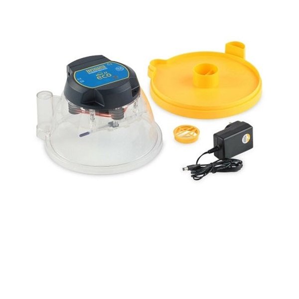 Incubateur Mini II Eco (10 oeufs) - Brinsea