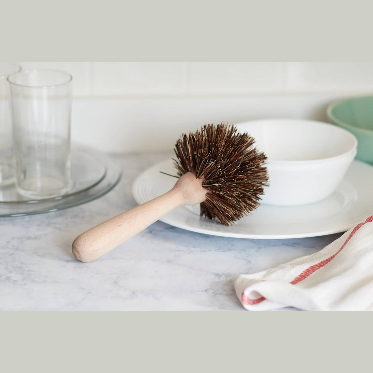 Natural Dish Brush Basin