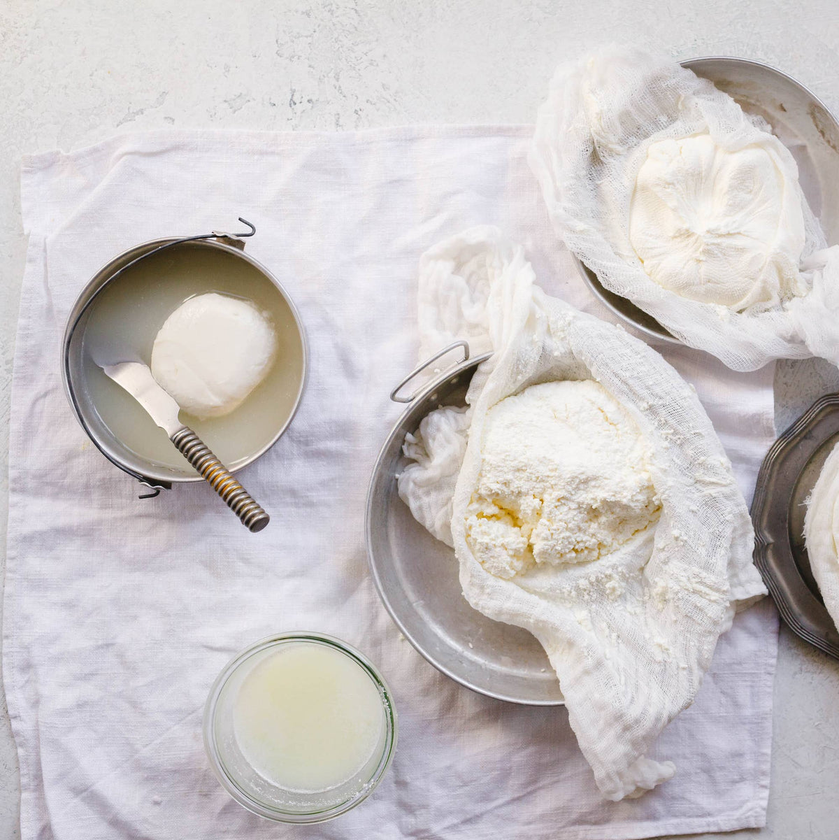Coton à fromage (étamine)