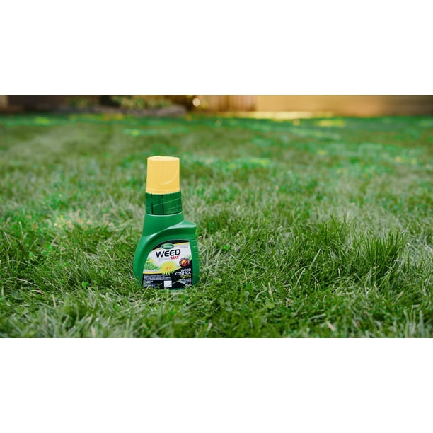 Weed B Gone Max Concentré 500Ml