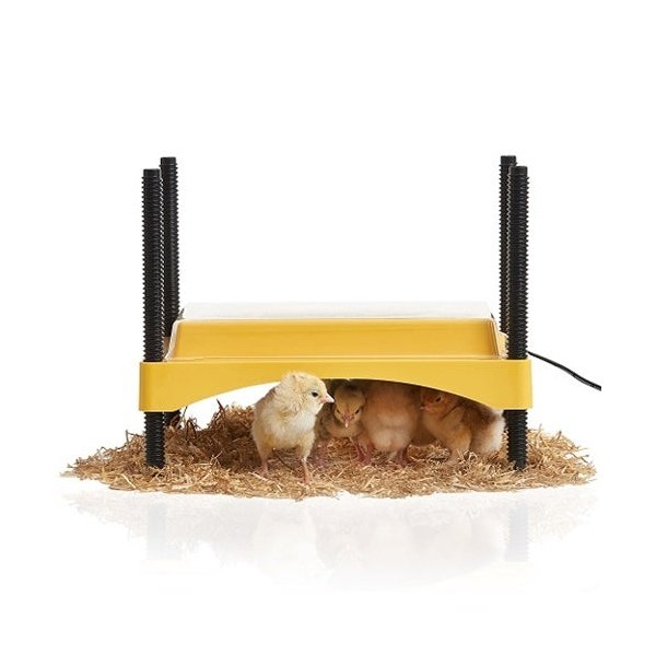 Brinsea - EcoGlow Safety 600 Chick Brooder
