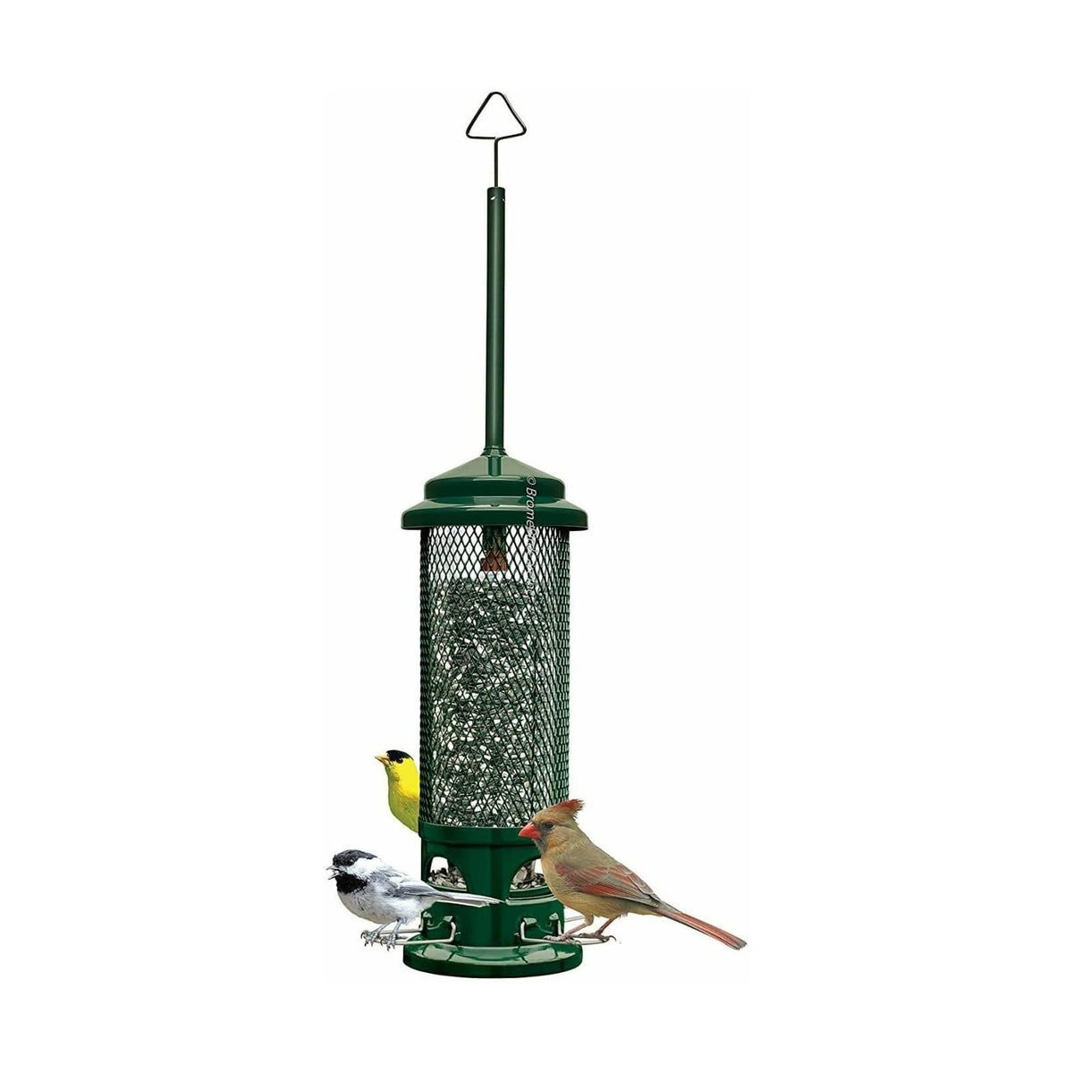 Mangeoire Squirrel Buster® Legacy - Brome Bird Care