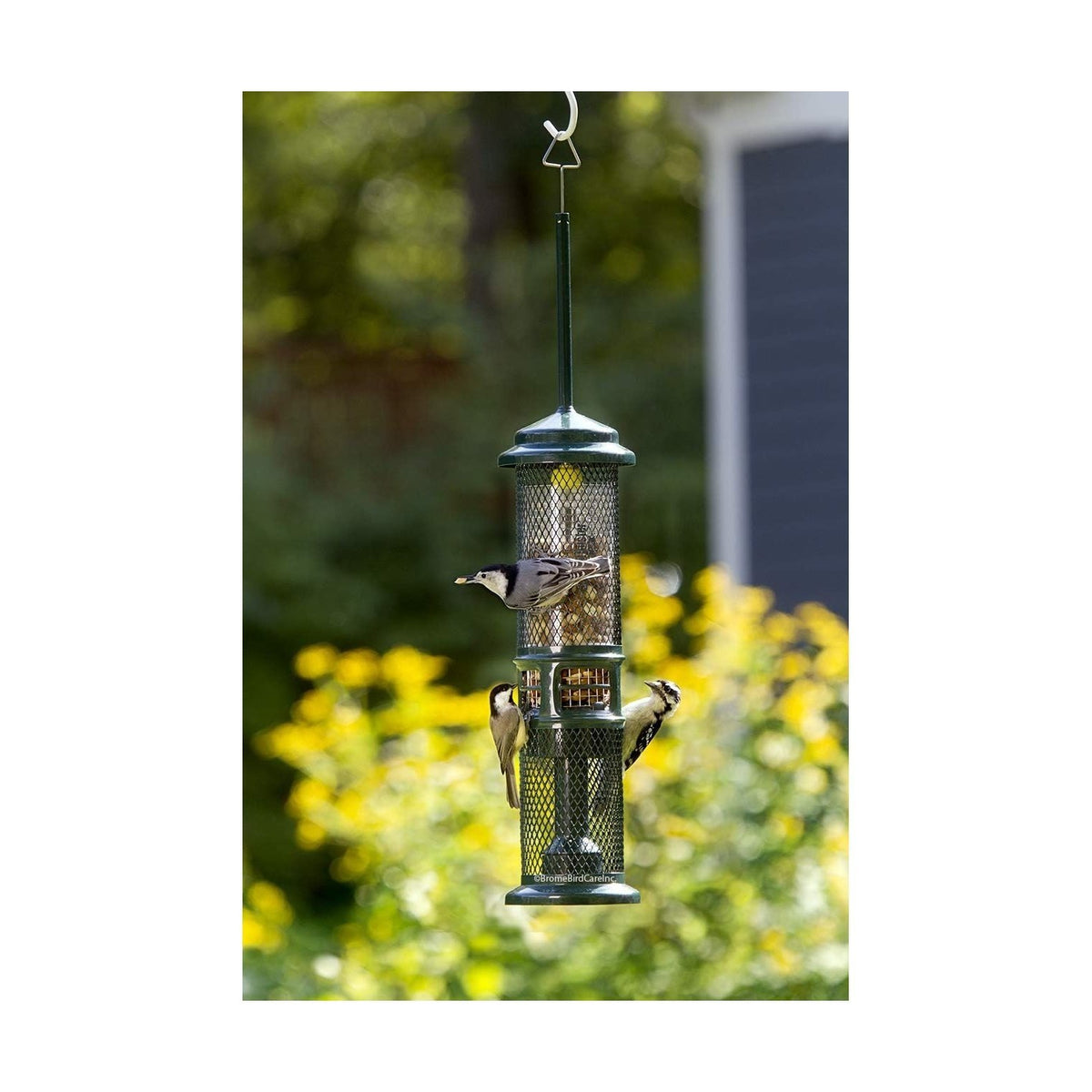 Mangeoire Squirrel Buster® Nut Feeder - Brome Bird Care
