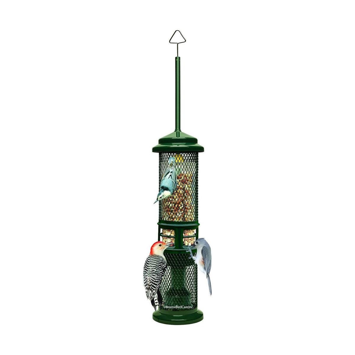 Mangeoire Squirrel Buster® Nut Feeder - Brome Bird Care