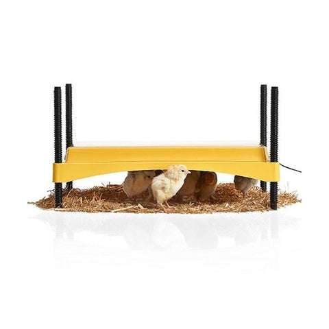 Couveuse de poussins EcoGlow Safety 1200 - Brinsea