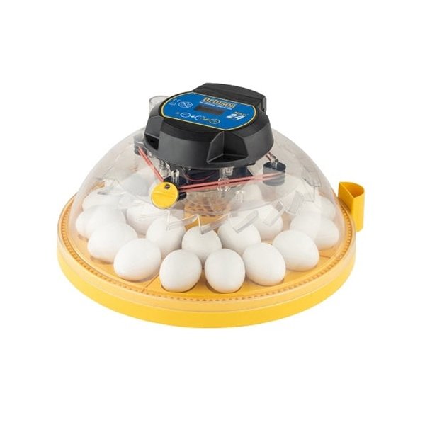 Incubateur Maxi 24 advance (24 oeufs) - Brinsea
