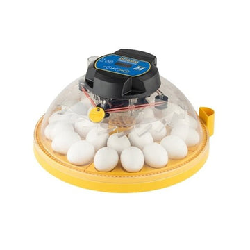 Incubateur Maxi 24 advance (24 oeufs) - Brinsea