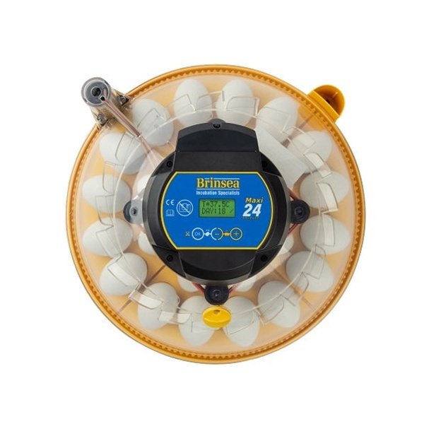 Incubateur Maxi 24 advance (24 oeufs) - Brinsea