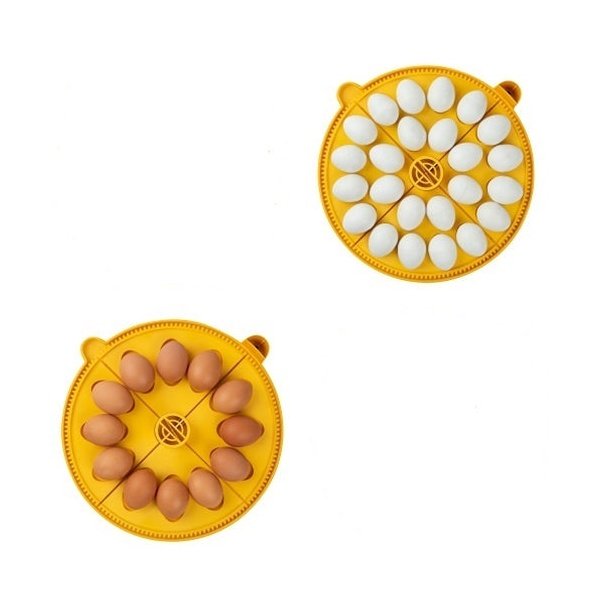 Incubateur Maxi 24 advance (24 oeufs) - Brinsea