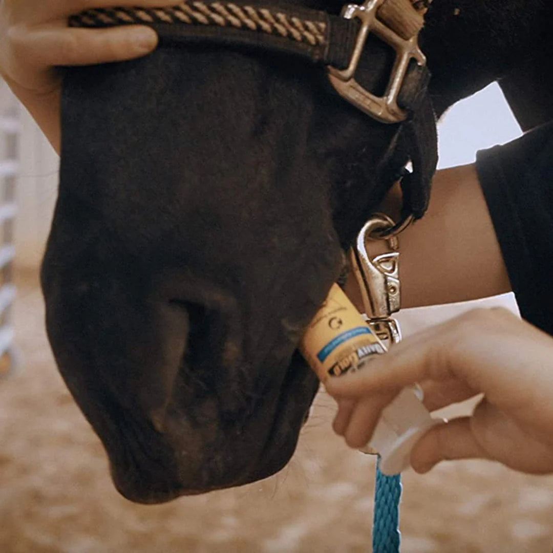 Redmond Daily Gold® Syringe - Paste for Digestive Stress Relief 