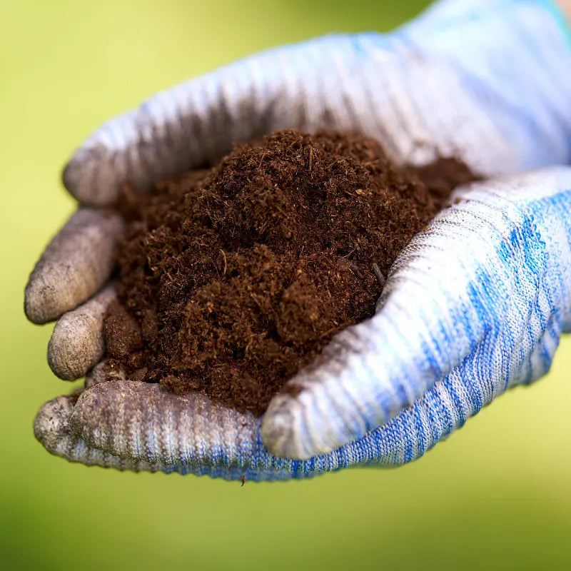 Miracle-Gro® - Enriched Canadian Sphagnum Peat Moss, 8.8 L 