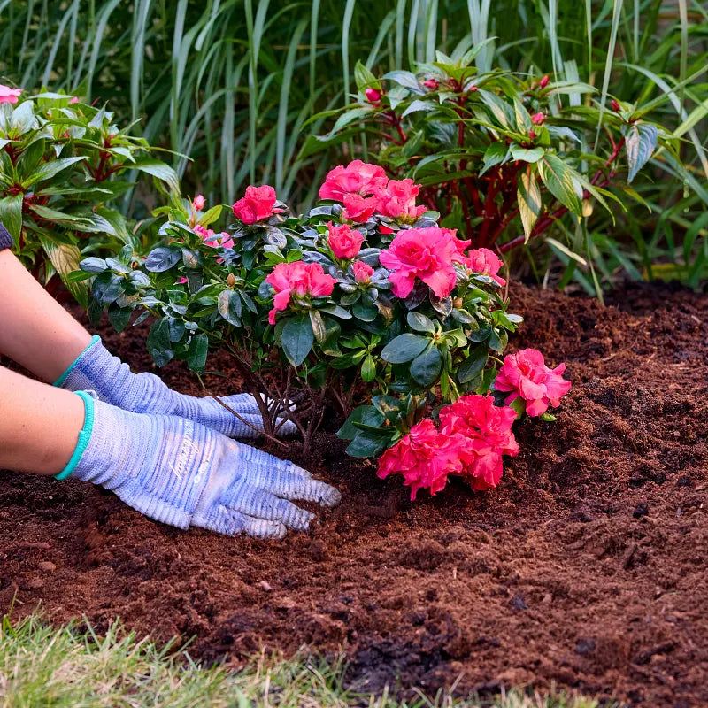 Miracle-Gro® - Enriched Canadian Sphagnum Peat Moss, 8.8 L 