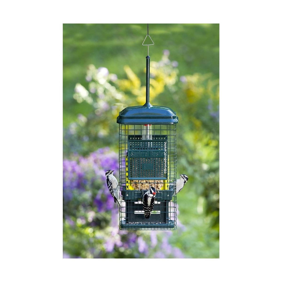 Squirrel Buster Suet Feeder