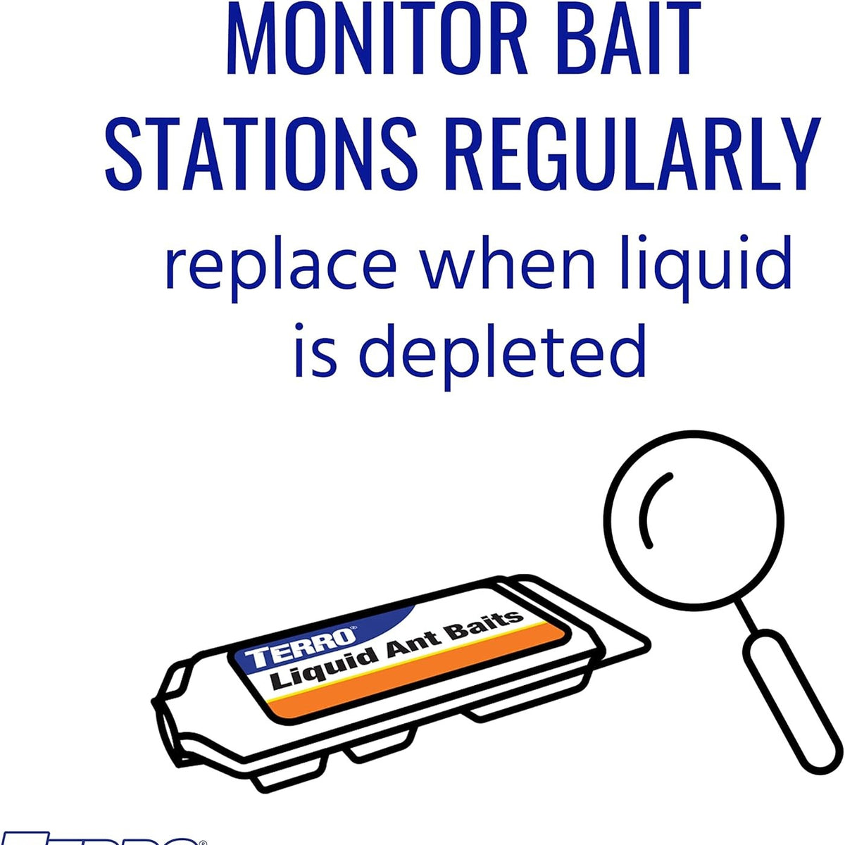 Appâts liquide pour fourmis, 2.2 oz - TERRO®
