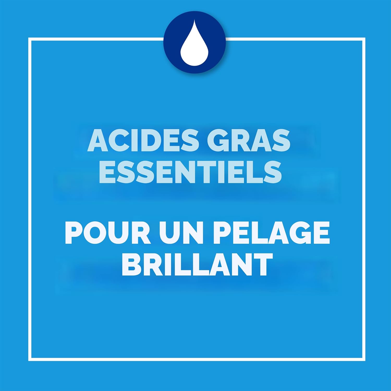 Purina® Cat Chow® Complete (8kg) - Chicken