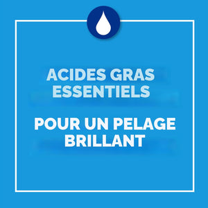 Purina® Cat Chow® Complete (8kg) - Chicken